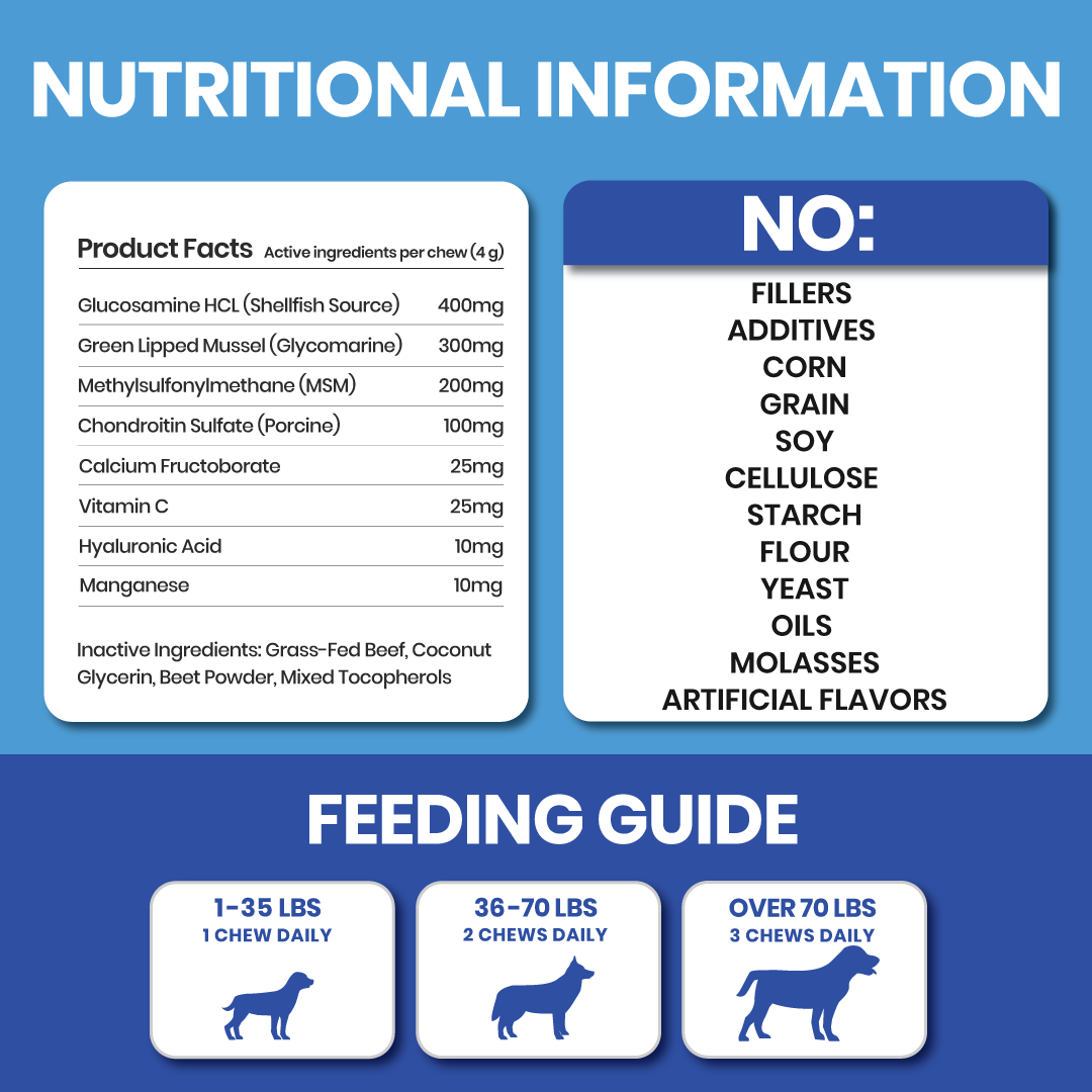 Hip & Joint Chews – Dog Joint Supplement for Mobility
