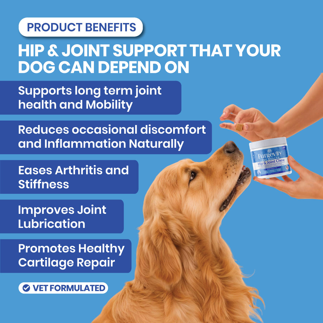 Hip & Joint Chews – Dog Joint Supplement for Mobility